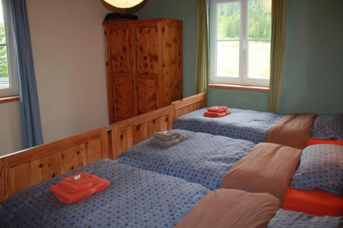 a bedroom with two twin beds and two windows at Pension Fernsicht in Außerteuchen