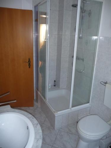 a bathroom with a shower and a toilet and a sink at Ferienhaus Emma in Zinnowitz