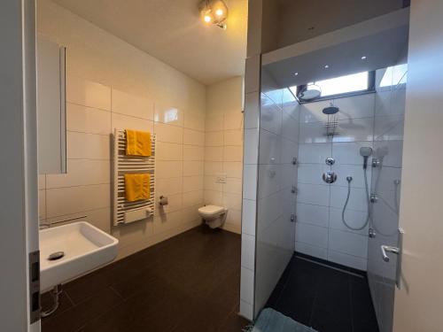 a bathroom with a shower and a sink and a toilet at Zweizimmer-Häuschen im Schwarzwald in Schopfheim