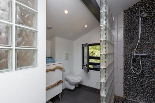 a bathroom with a toilet and a shower and a window at Maison humanesens in Léon