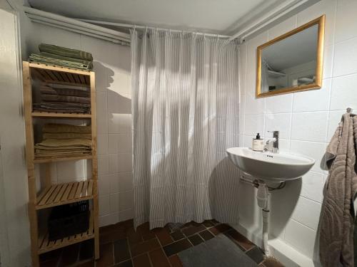 a bathroom with a sink and a shower curtain at Heltoften Bed & Breakfast in Nykøbing Mors