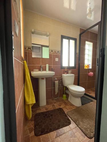 a bathroom with a toilet and a sink at Akany Sahoby in Antananarivo