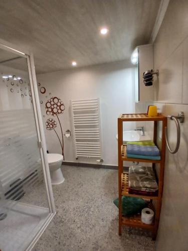 a bathroom with a shower and a toilet and a sink at Haus Angermann in Struppen