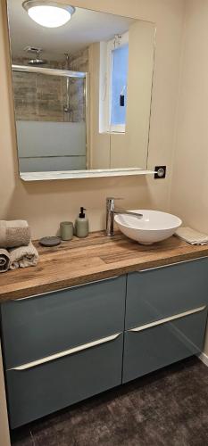 a bathroom counter with a sink and a mirror at Le petit Rouen in Rouen
