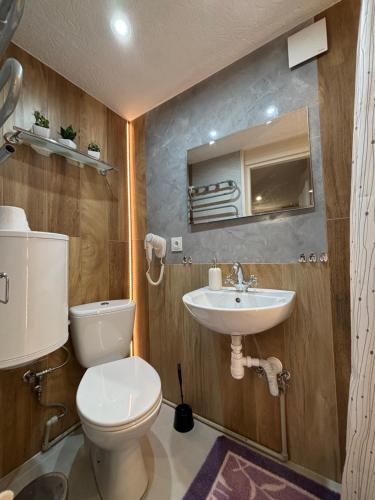 a bathroom with a toilet and a sink at Pokoje u Pawloka - BLISKO TERMY CHOCHOŁOWSKIE in Ciche