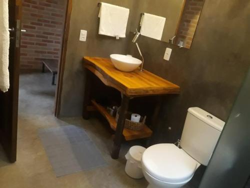 a bathroom with a sink and a toilet at Chalé nas Árvores -Pitayas Agroturismo in Joanópolis