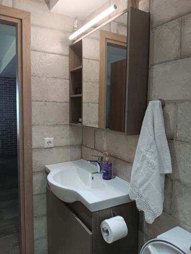 a bathroom with a sink and a mirror at Thalantheia House in Agios Konstantinos
