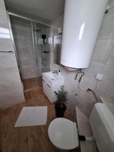 Apartman Loni 4