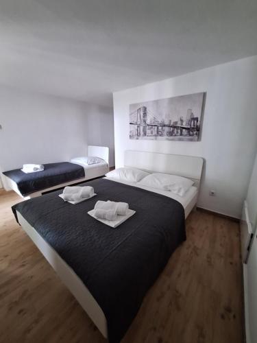Apartman Loni 4