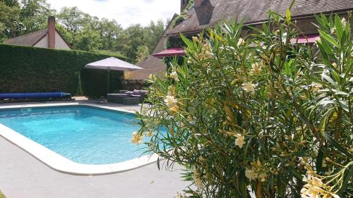 a swimming pool with a plant next to a house at Auberge Marcheroux in Amboise