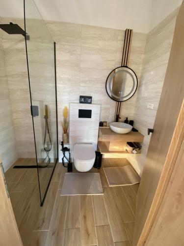 a bathroom with a toilet and a sink at Royal Hill-Prince Chalet Bran- Mountain View and Hot Tub in Sohodol