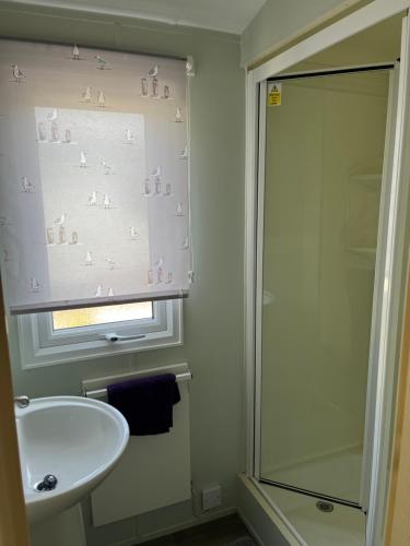 a bathroom with a sink and a shower at Meadow lakes golden palm resort in Chapel Saint Leonards