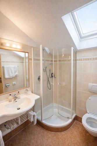 a bathroom with a shower and a sink and a toilet at Binterhof ROSALPINA APP in Castelrotto