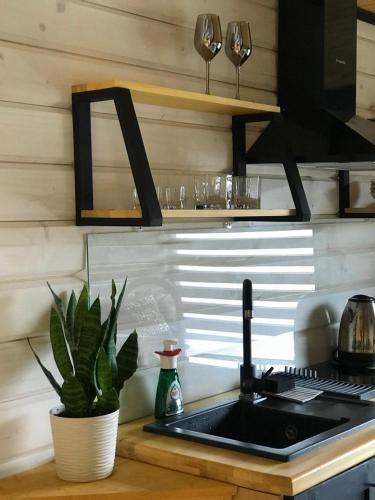 a kitchen with a sink and a plant on a counter at Fazenda Fishbone, будиночок White fish in Verkhovyna