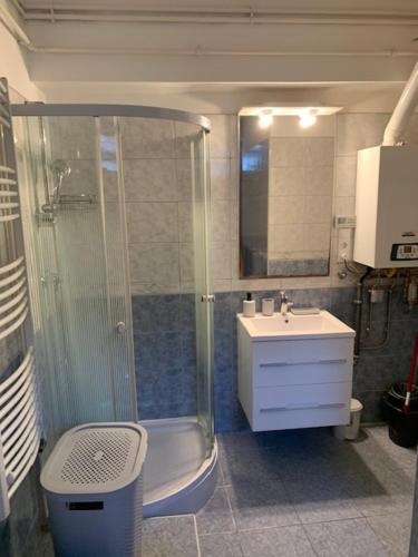 a bathroom with a shower and a sink and a toilet at Beni Apartman in Balatonlelle