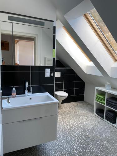a bathroom with a white sink and a toilet at Reitterhof in Laufnitzdorf in Frohnleiten