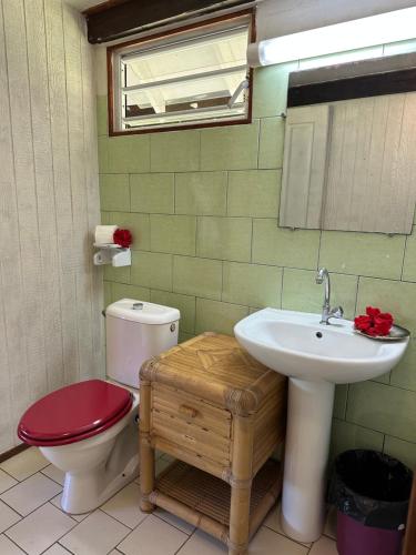 a bathroom with a sink and a toilet and a mirror at Pension Vaimano-Raivavae in Vaiuru