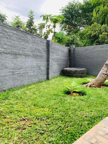 a retaining wall with a green yard with a plant at KeAnna STAYS Apartment in Tsumeb