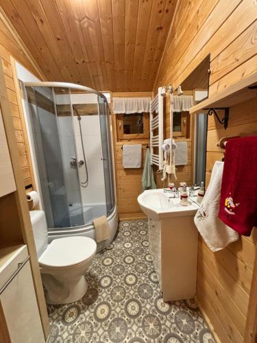 a bathroom with a shower and a toilet and a sink at W Malinowym Chruśniaku in Nowa Słupia