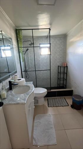 a bathroom with a toilet and a sink and a shower at Cabaña en Ancud in Ancud