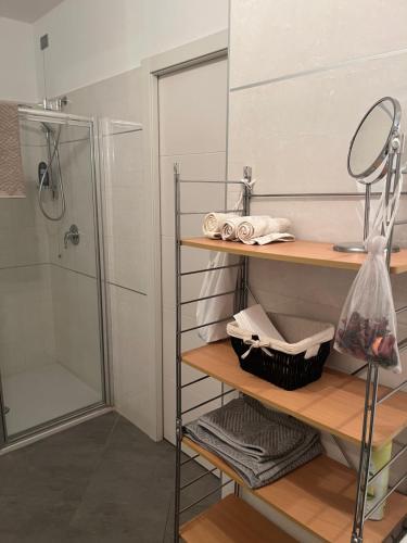 a bathroom with a shower and a sink and a mirror at Respiro di Bosco in Robbiate