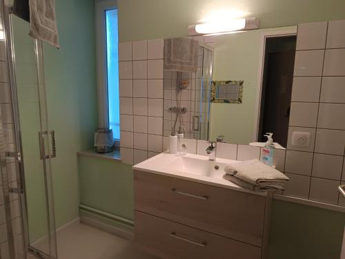 a bathroom with a sink and a mirror and a shower at La clef du ban in Ban-sur-Meurthe-Clefcy
