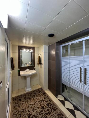a bathroom with a sink and a shower at Zaytouna Farm in Ajloun