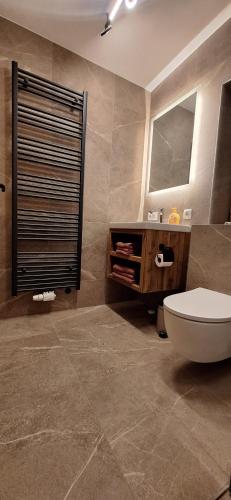 a bathroom with a toilet and a sink and a mirror at alter Hannelerhof in Mutters