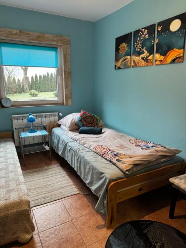 a bedroom with a bed in a room with a window at Zakątek Transformacji in Łużna