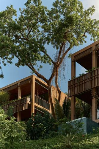 a building with a tree in front of it at Siari Riviera Nayarit, a Ritz-Carlton Reserve in El Divisadero