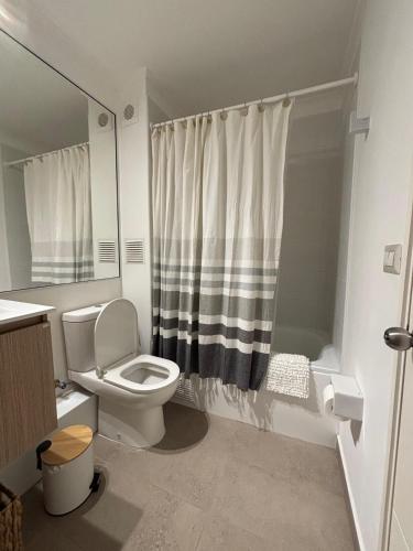 a bathroom with a toilet and a shower at Apartment steps away from the beach in La Serena