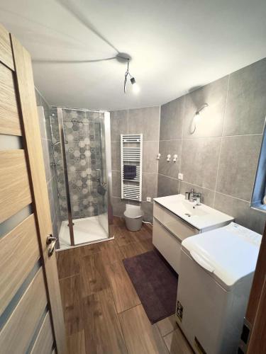 a bathroom with a sink and a shower and a toilet at Apartmán Buky in Mladé Buky