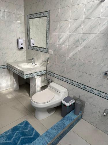a bathroom with a toilet and a sink and a mirror at Casa acogedora y espaciosa in Huamboya