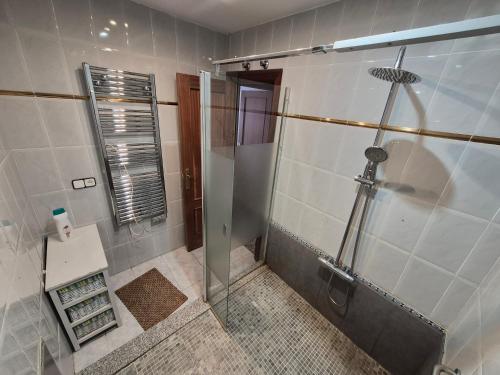 a bathroom with a shower and a sink at Casa Turistica Termas aparcamiento y desayuno incluido in Mérida