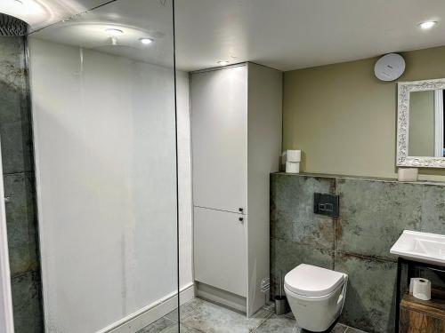 a bathroom with a shower and a toilet and a sink at Ground floor, Very central, 2 Bed - Cobbles Apartment in Buxton