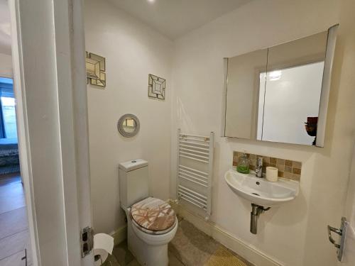 a bathroom with a toilet and a sink and a mirror at Cozy Central One Bedroom Flat in Reading