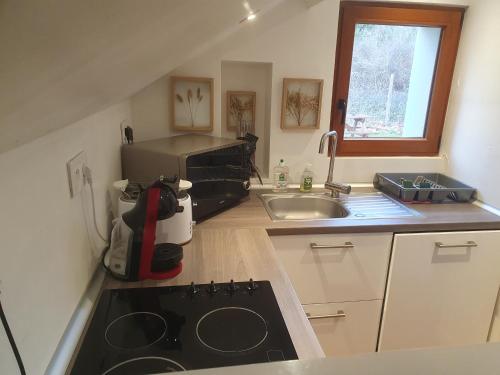 a small kitchen with a sink and a stove at Gîte Les Fourmilières in Ligny-le-Ribault