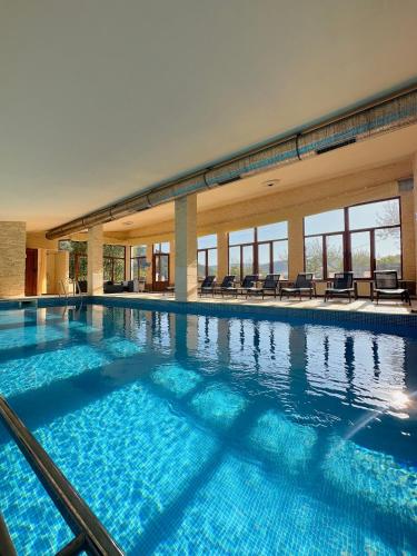 a large swimming pool with blue water in a building at Pensiunea Merişor in Răchiţele