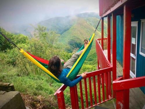 two people are sitting in hammocks on a train at Wellington Vibes in Wellington