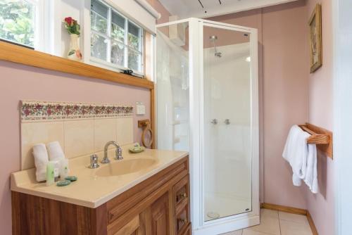 a bathroom with a sink and a shower at Angel's Aisle Cottages & Cafe in Stanley