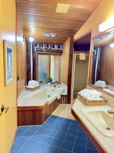 a large bathroom with a tub and a sink at Riverview Lodge in Dryden