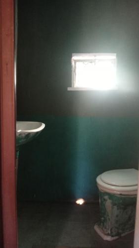 a green bathroom with a toilet and a sink at Nuevo Ciclo in Tigre