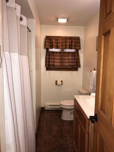 a bathroom with a toilet and a sink and a window at Trout Town Inn in Roscoe