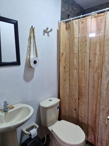 a bathroom with a toilet and a sink and a shower at Villa Alejandra in Quebrada Vieja