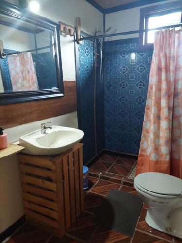 a bathroom with a sink and a toilet and a mirror at Hostal Verde Vida in Futrono