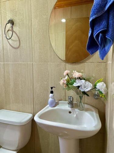 ein Badezimmer mit Waschbecken, Toilette und Spiegel in der Unterkunft Cabañas Anny 1 in Linares
