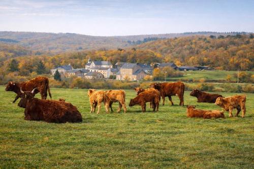 La Grange de David Gîte de groupe Access-i
