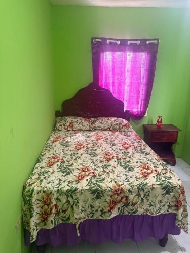 Quiet Guest Room in Granville Falmouth, Jamaica