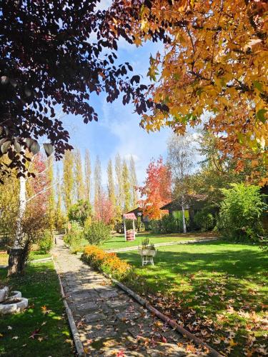 a park with autumn leaves on the grass at Cabañas Los Culenes in Colbún