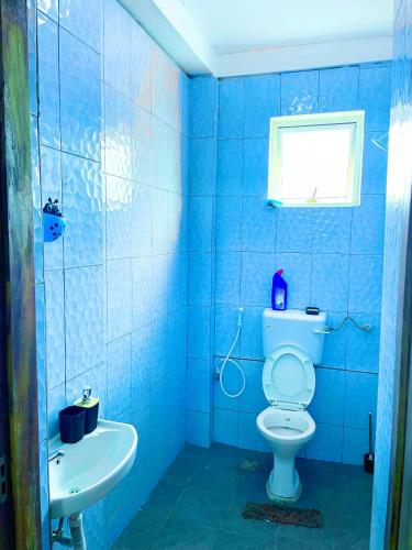 a blue bathroom with a toilet and a sink at Ailynes in Diani Beach